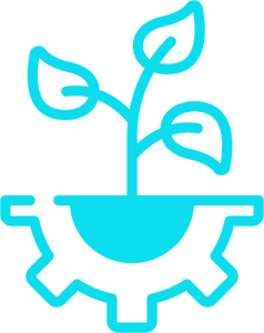 Agriculture and Rural Enterprises